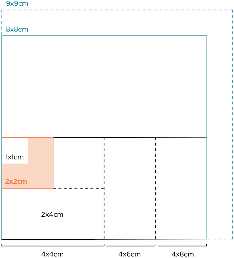 Placenta tissue graft product dimensions.