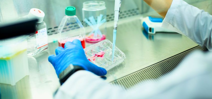 extracellular matrix proteins (2) In research and biotechnology, extracellular matrix proteins are essential.